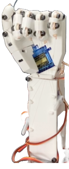 Robotic Hand Closed